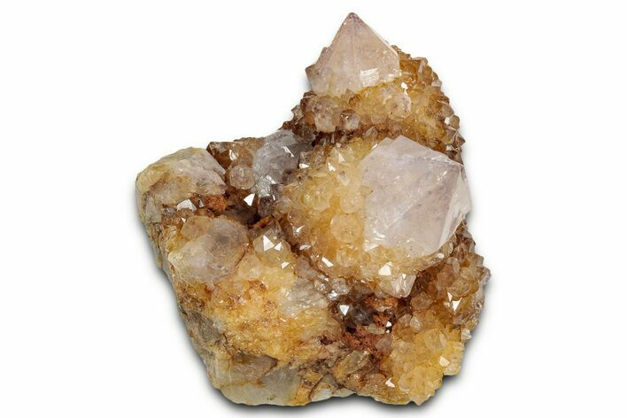 Sunshine Cactus Quartz/Amethyst Crystal Cluster - South Africa #337646